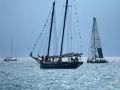 garda_45