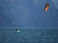 surfen-28